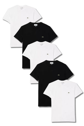 Kit 5 Camisetas Lacoste (Confira as Cores)